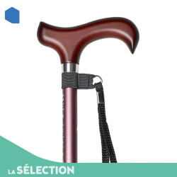 31116-mon-materiel-medical-en-pharmacie-fr-canne-fixe-les-intrepides-lilie