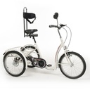 TRICYCLE ADOLESCENT FREEDOM - 2