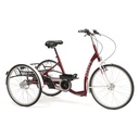 TRICYCLE ADULTE LAGOON - 2
