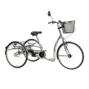 TRICYCLE ADULTE LAGOON
