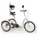 TRICYCLE ADOLESCENT FREEDOM